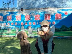 -宠物寄养训练学校