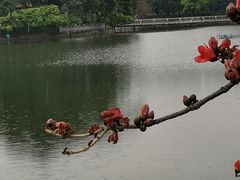 -桃花涧