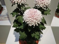 -汇龙潭