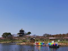 -上海海湾国家森林公园