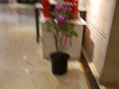 -洛阳宴·洛阳菜(南昌路店)