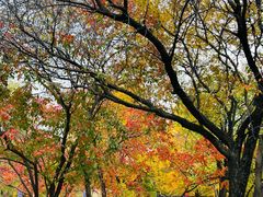 -国家植物园南园