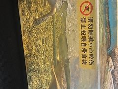 -苏州海洋馆