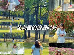 -东莞植物园