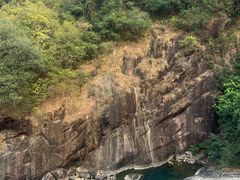 -广州白江湖森林公园