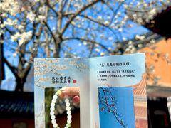 -灵谷景区