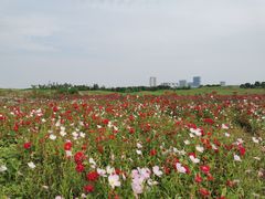 -苏州湾体育公园