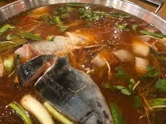 -新凯里酸汤鱼(飞山街店)