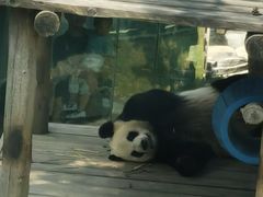 -大连森林动物园