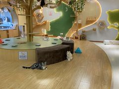 -猫和宫(六道口店)