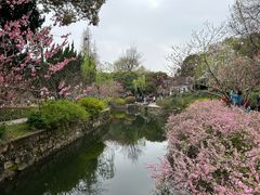 -无锡蠡湖国家湿地公园-蠡园