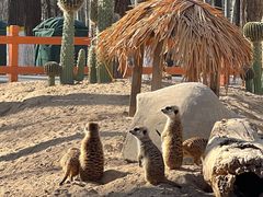 -北京野生动物园