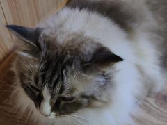 -白兔子密室(长寿路店)