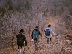 -阳台山自然风景区