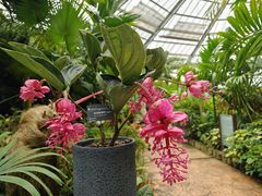 -中国科学院华南植物园
