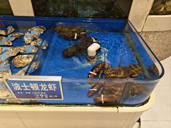 -新洪记·丽久饭店(铁西店)