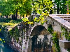 -贡湖湾湿地公园