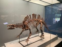 -湖南省地质博物馆