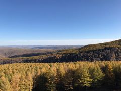 -塞罕坝国家级自然保护区