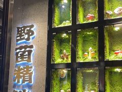 -野·大山里野生菌石锅土鸡(益田假日店)