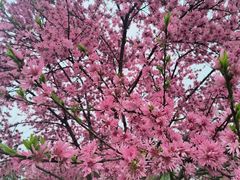 -汉长安城未央宫国家考古遗址公园