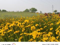 -菊园百果园