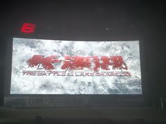 -枫花园汽车电影院(朝阳公园店)