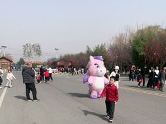 -少华山国家森林公园