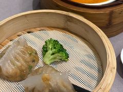 -东方御宴海鲜酒楼(棕泉酒店)
