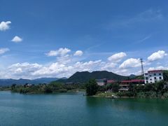 -千岛湖港湾鱼庄