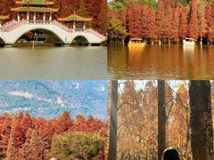 -星湖旅游景区七星岩