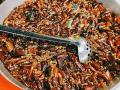 水煮有机鮰鱼-辣婆婆(航天桥店)