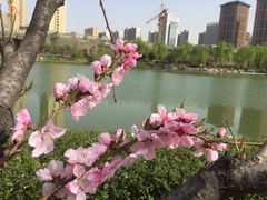 -木塔寺遗址生态公园