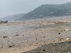 -北岐滩涂