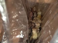 -老姜烤肉(河马石商园店)