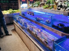 -鸽子侯·家宴·平价海鲜(绿地店)
