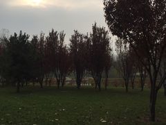 -仁和公园(顺义区)