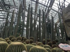 -南山植物园