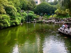 -柳侯公园
