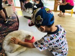 -萌宠亲子动物乐园(槐房万达店)