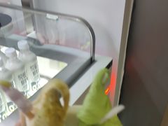 -野人先生现做冰淇淋(北京环宇荟店)