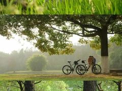 -艾溪湖湿地公园