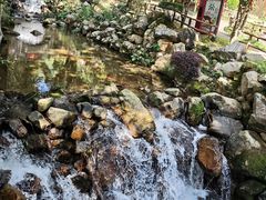 -灵光寺