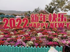 -盈香心动乐园