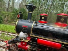 -合肥滨湖国家森林公园