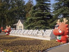 -日照海滨国家森林公园