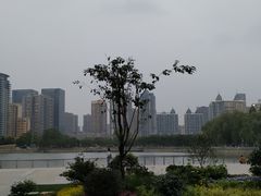 -西北湖绿化广场