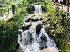 -藏龙百瀑风景区