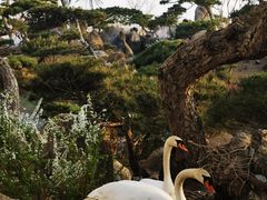 -罗红摄影艺术馆