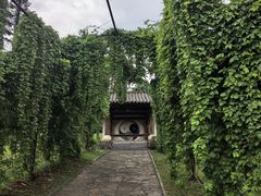 -云南民族村